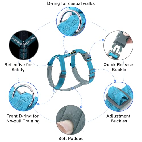 No Pull Dog Harness (XS / Cyan)