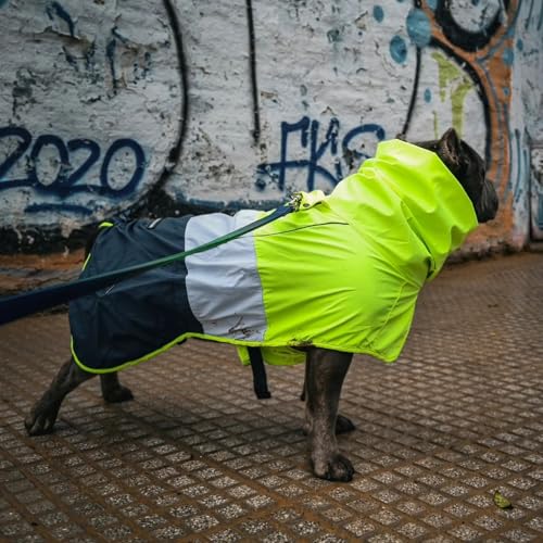 Dog Raincoat Waterproof Windproof Rain Jacket (Neon White Navy Blue / X-Large)