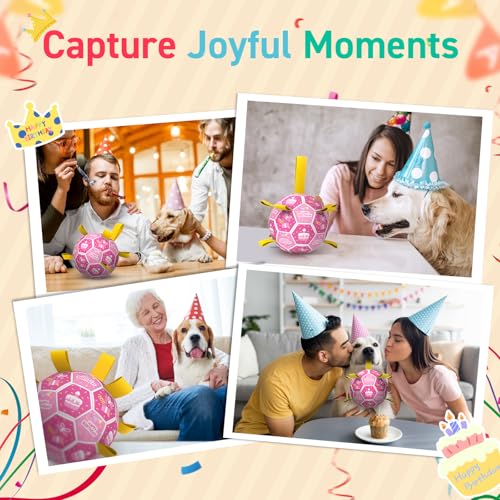 Dog Birthday Toys (Birthday / 8 Inch)
