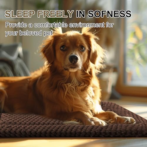 Dog Bed Crate Mat (S(24"*18"*1.5") / Dark Brown-1pc)