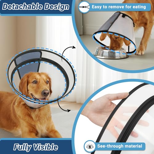 Dog Cone to Stop Licking (Black / S(Neck: 10"-11.75"))