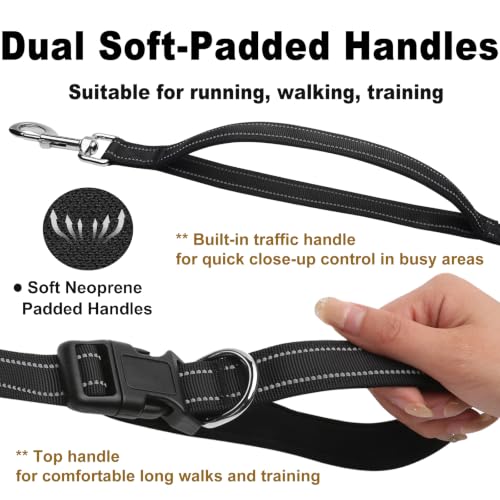 Bungee Dog Leash (Black / 4.6-7.3FT)