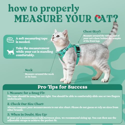 Cat Harness and Leash Set (Xxs / Cherry Grove)