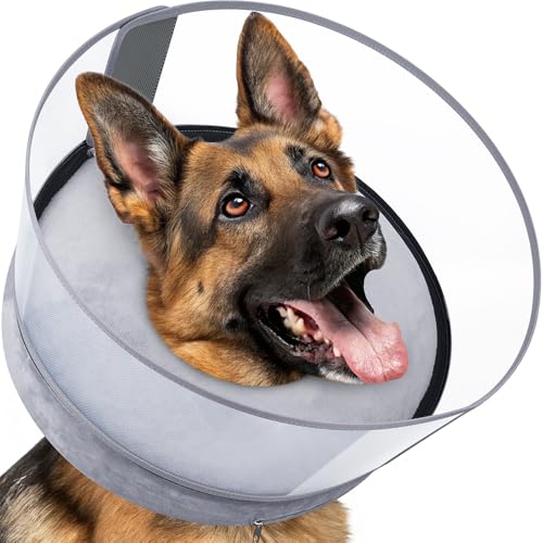 2-in-1 Inflatable Dog Donut Collar for Large Dogs After Surgery (Grey / XXL)