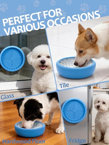 Dog Lick Bowl with Brush and Scraper (Light Blue / Small)