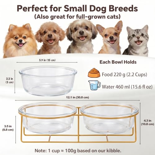 Elevated Dog Bowls for Small Dogs (Small / glass×2)
