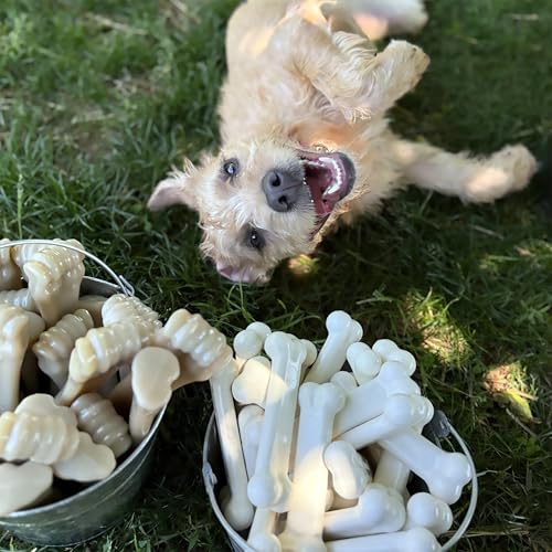 Power Chew Original Bone Dog Chew Toy (Small)