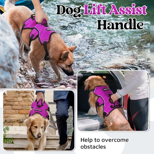 Escape Proof Dog Harness for Large (Purple / Large)