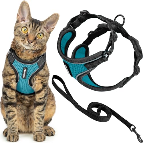 Voyager Escape (Black Trim-Turquoise (327) / XXXS (Chest: 10.5 - 13"))