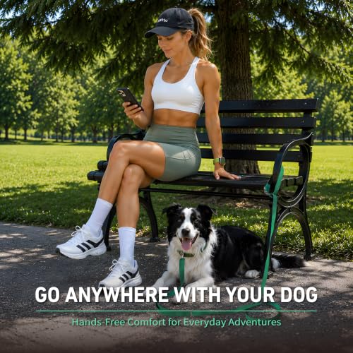 Hands Free Dog Leash (6–9.5 ft / Green)