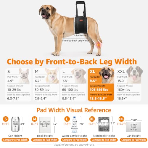 Dog Sling for Extra Large Dogs Hind Leg Support Weak Rear Leg Aid (Grey&Black / X-Large)