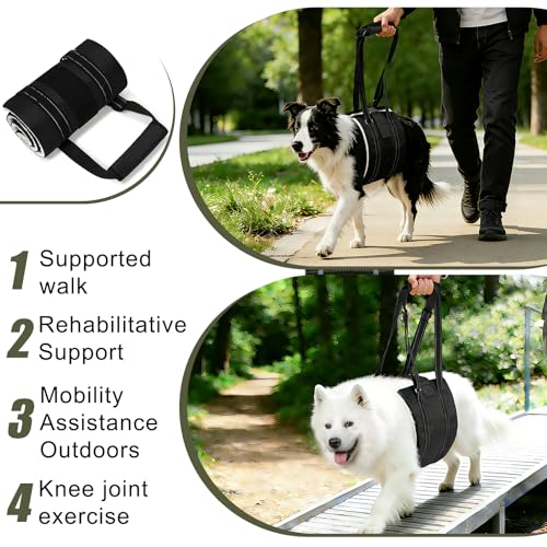 Dog Sling Adjustable Dog Lift Harness (F001-Black / L)
