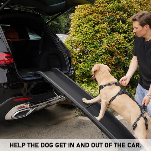 Mobility Dog Lift Harness (Black / M)