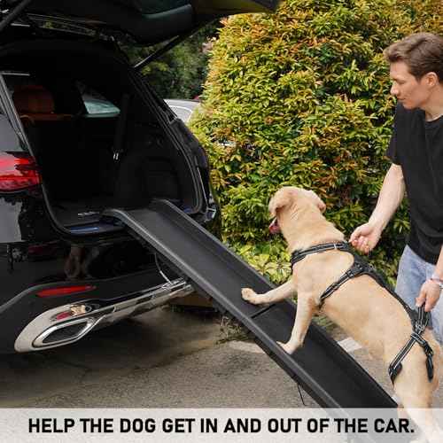 Mobility Dog Lift Harness (Black / XXL)
