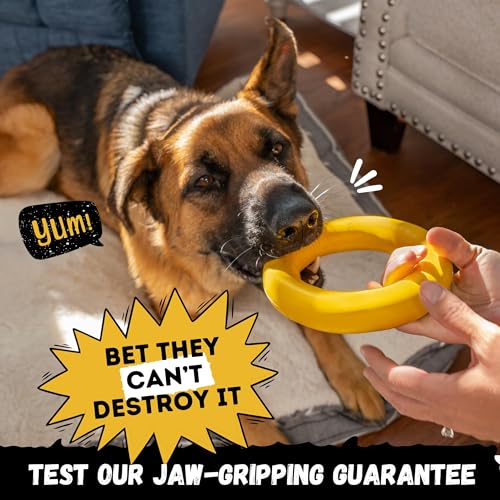 Indestructible Dog Chew Toy