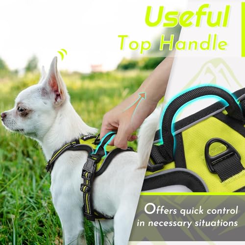 Dog Harness for Small Dogs (X-Small / Green)