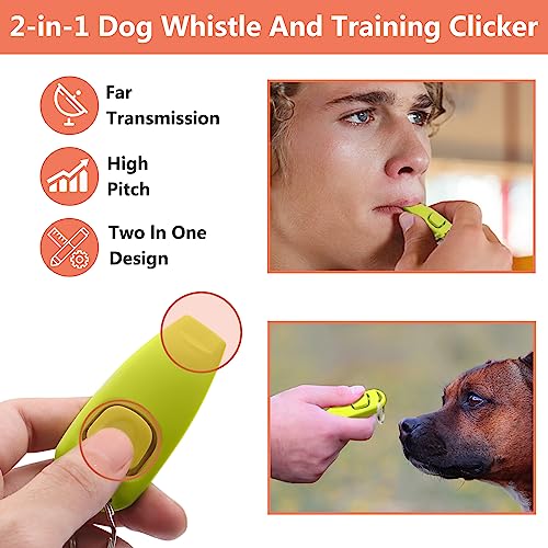 Dog Training Kit (Black)