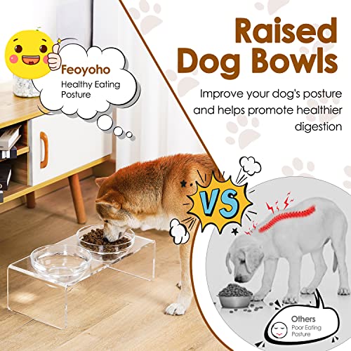 Acrylic Elevated Dog Cat Bowls Pet Feeder Double Bowl Raised Stand Comes with 2 Removable Glass Bowls and 2 Stainless Steel Bowls.Perfect for Medium Dogs (Medium: 5.5'' Height, 34 oz Glass Bowl)
