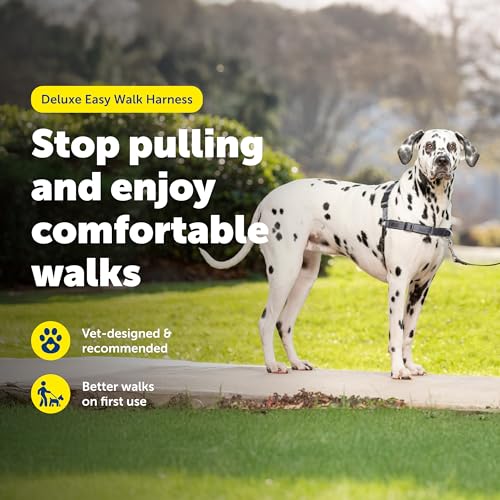 Easy Walk Deluxe Dog Harness (Large / Steel)