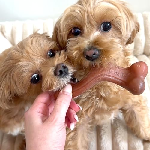 Strong Chew Dog Toy 4 (Bundle / Small)
