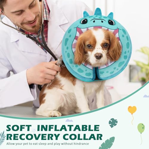 Inflatable Recovery Dog Collar (Teal Dinosaur / Medium (Neck:8''-10''))