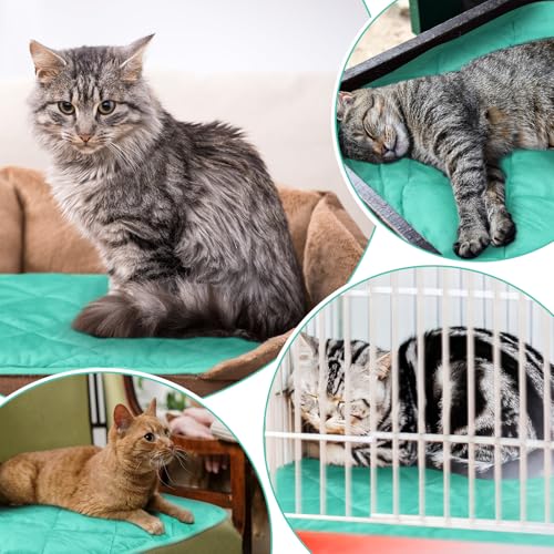 4 Pack Self Heating Cat Pad Self Warming Dog Mat Reflects Body Heat Extra Warm Thermal Pet Pad Washable Dog Cat Bed Crate Bed Mat Blanket (16 x 20 Inch / Mint Blue)