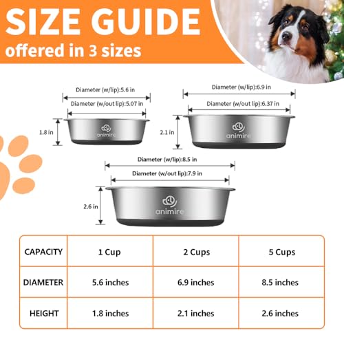 2-in-1 Metal Dog Bowl with Slow Feeder Insert, Stainless Steel Dog Bowls Food Grade 304, Water Food Bowl with Anti-Slip Silicone Base for Small, Medium, Large Dogs (2 Cups / Black)