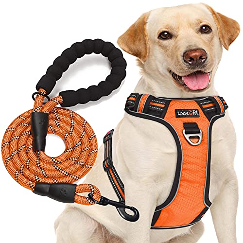 No Pull Dog Harness Adjustable Reflective Oxford Easy Control Medium Large Dog Harness with A Free Heavy Duty 5ft Dog Leash (Orange / X-Large)