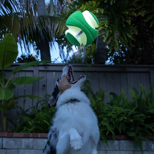 Kick Fetch Max Glow Ball (Large / Max Glow)