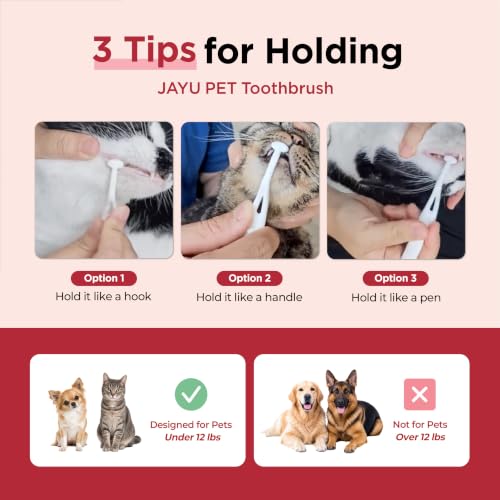 Dental Care Brush Soft Bristles 3ea (Soft Bristles / 1 Count (Pack of 3))