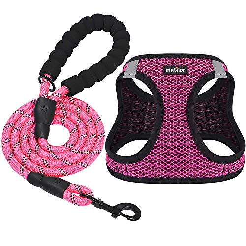 Dog Harness Step (Pink / X-Small (Chest 10''-11.5'', Weight 5-8 lb))