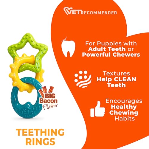 Puppy Power Chew Teething Rings Dog Chew Toy (Rings / Small)