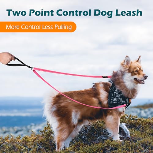 Two Point Control Dog Leash (Pink)