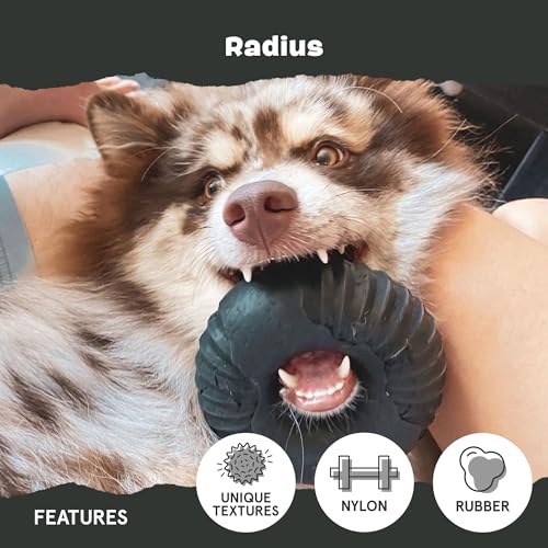 Radius Super Chewer (Medium/Large / Radius)