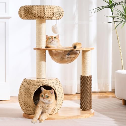 Modern Cat Tree for Indoor Small & Medium Cats (Natural w/ Capsule-38")