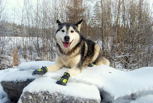 Dog Shoes Waterproof Anti (7# / Black)