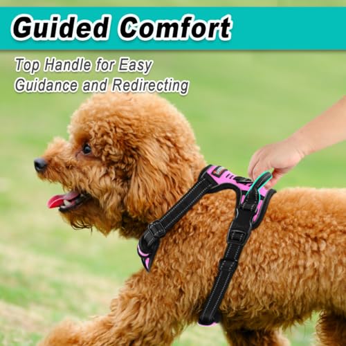 Dog Harness for Small Sized Dog No Pull 2 Leash Clips Dog Vest (X-Small / Pink)