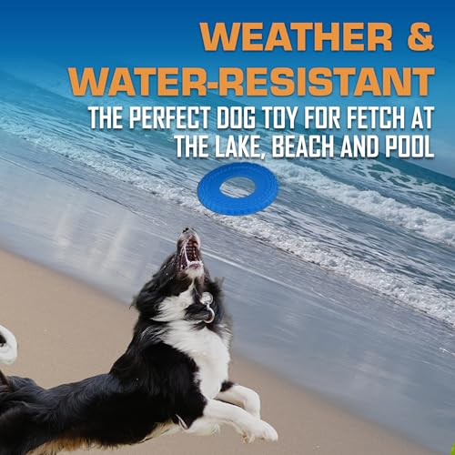 Tire Flyer Outdoor Dog Toy (Blue / 10 Inch)