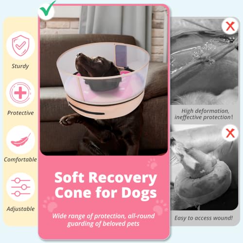 Inflatable Dog Cone with Anti (L (Neck: 14"-18"))