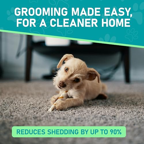 Hair Brush Double Sided Shedding (Turquoise / Large)