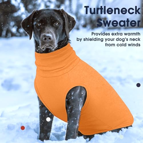 Small Dog Sweater (Medium / Orange)