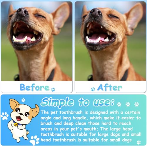 70 Pcs Dog Tooth Brush Dual Headed Pet Toothbrush (White)