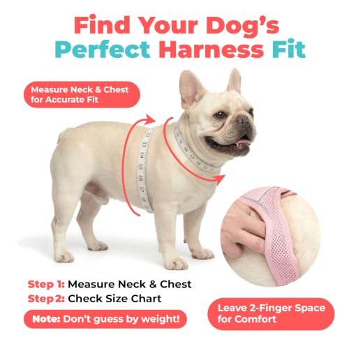 Voyager Step in Air Dog Vest Harness (Blue/Black Trim / L (Chest: 18 - 20.5"))