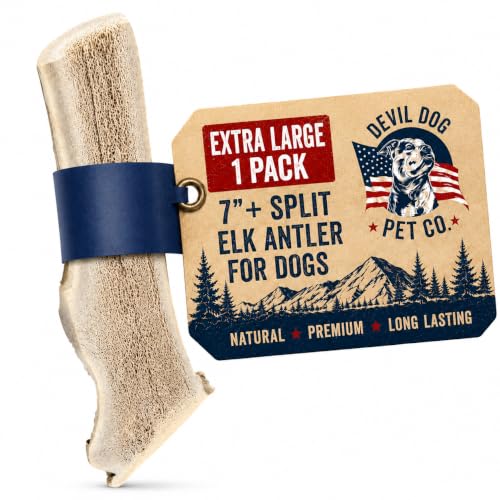 Split Elk Antlers for Dogs (split - XL - 1 Pack)