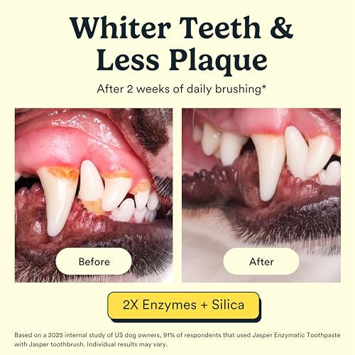 Dog Toothpaste Double Enzymatic