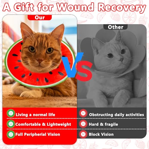 Cat Cone Collar Soft (Watermelon / Large)