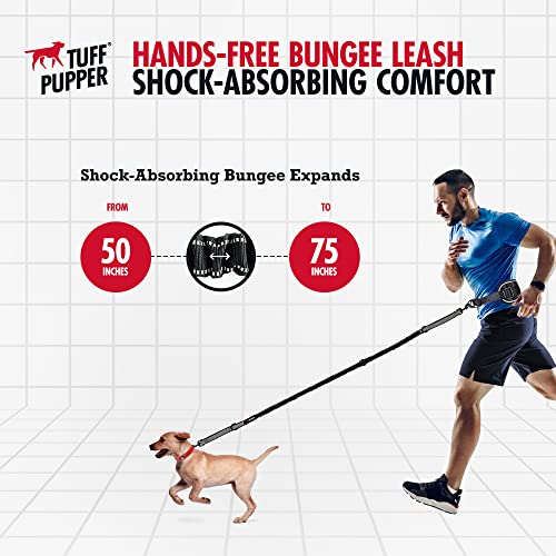 Hands Free Bungee Dog Leash - PetSolution