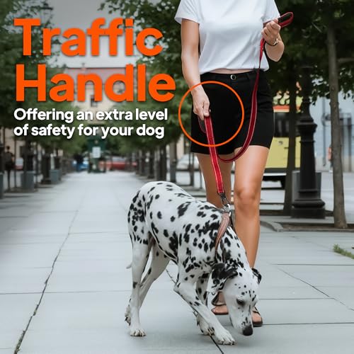 4FT 1IN Heavy Duty Dog Leash for Large Dogs with 2 Padded Handles (Black / 1 in x 4 ft)