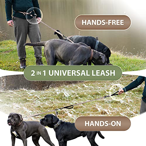 Hands Free Dual Dog Leash (Brown / 2 dogs M/L)
