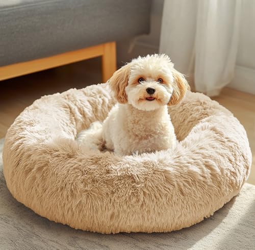 Dog & Cat Bed (20" / Off - White)